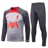 Sweatshirt Trainingsanzug Liverpool 2022-2023 Grau