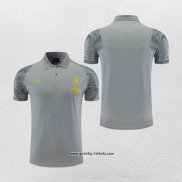 Polo Liverpool 2022-2023 Grau