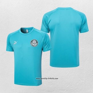 Traingsshirt Palmeiras 2023-2024 Grun