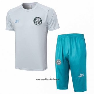 Trainingsanzug Palmeiras Kurzarm 2023-2024 Grau - Kurze Hose