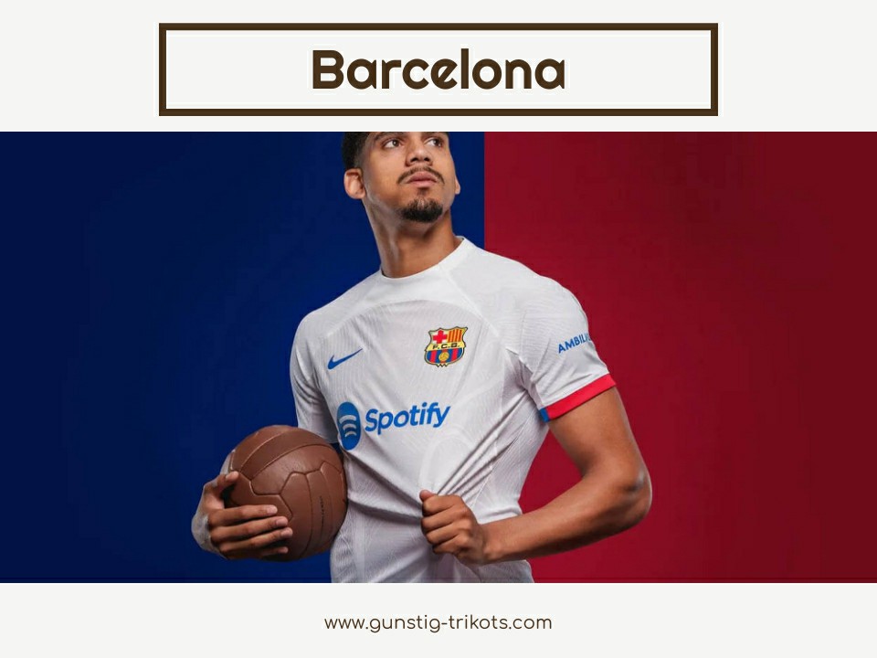 Barcelona trikot günstig