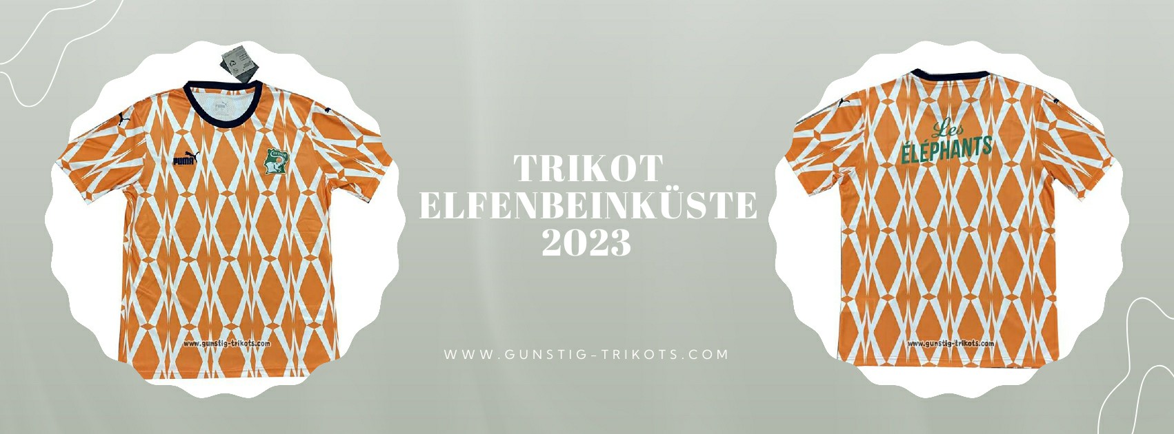 Elfenbeinküste Trikot 2023-2024